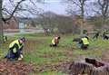 Bulb planting efforts by Aberdeenshire community groups support biodiversity